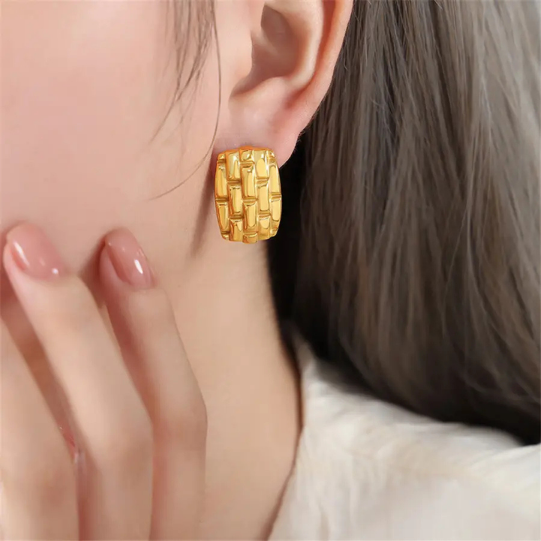 Anti-Tarnish Luxurious Gold Steel Earring with Mesh