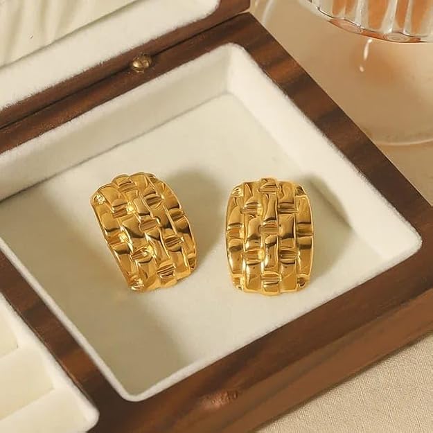 Anti-Tarnish Luxurious Gold Steel Earring with Mesh